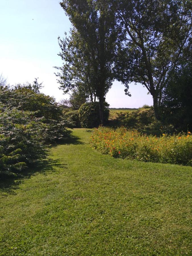 Ouddorp Vakantiehuisje Zewnętrze zdjęcie