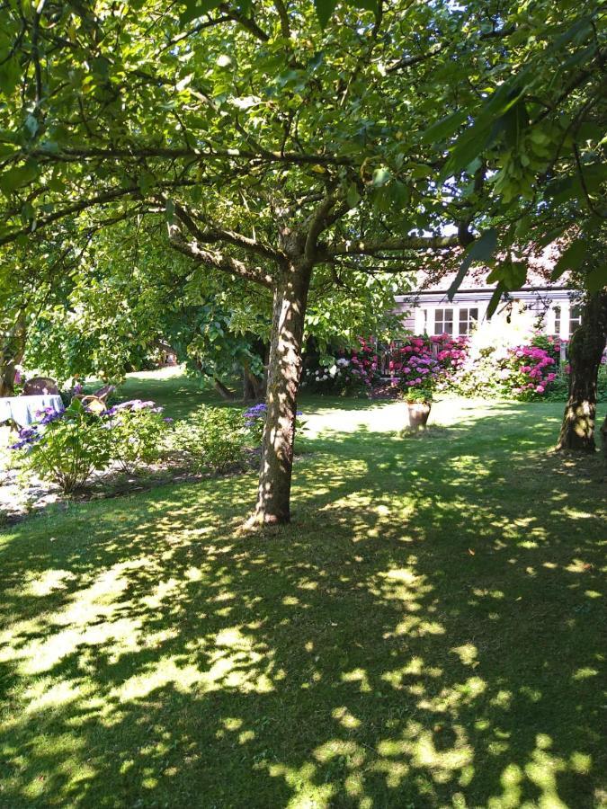 Ouddorp Vakantiehuisje Zewnętrze zdjęcie