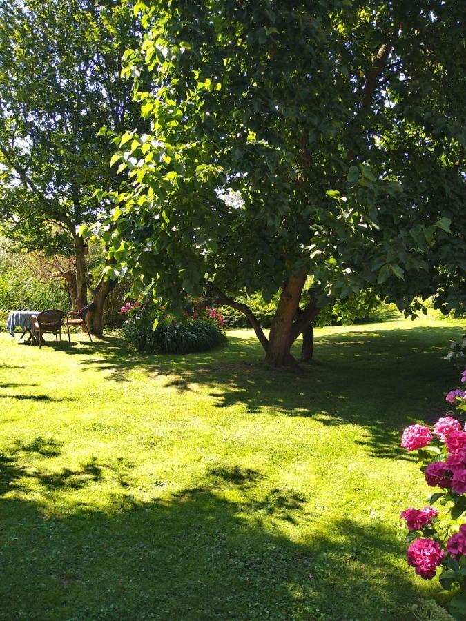 Ouddorp Vakantiehuisje Zewnętrze zdjęcie