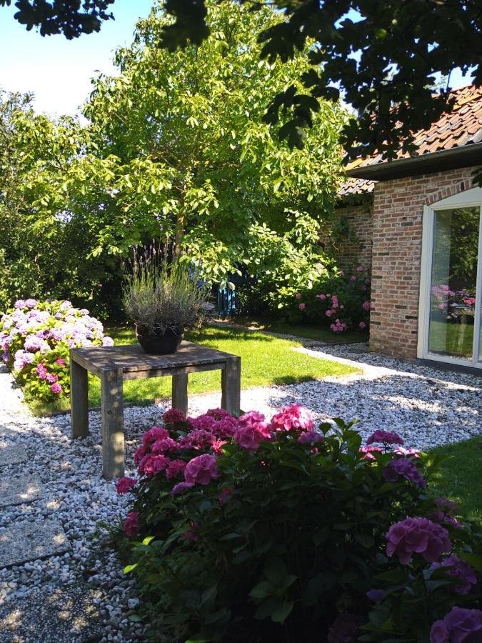 Ouddorp Vakantiehuisje Zewnętrze zdjęcie